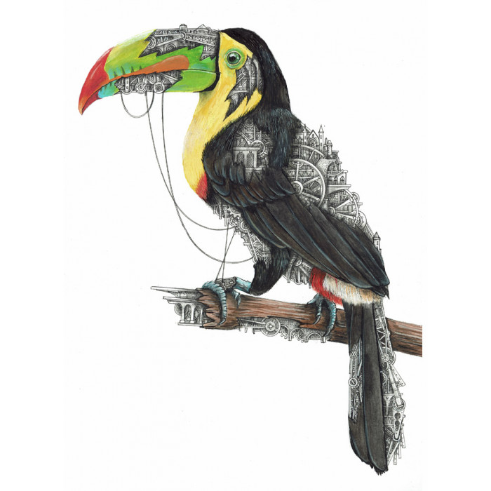 Toucan mechanimal