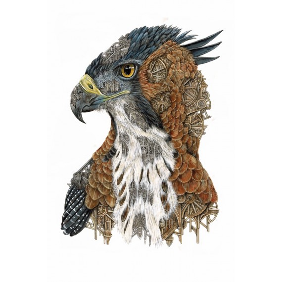 Ornate Hawk-Eagle Mechanimal