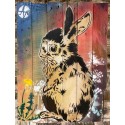 Lapin nice art street art