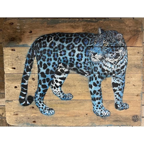 Jaguar bleu